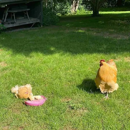 Panzió Haagerup Gamle Praestegaard Fåborg